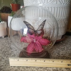 Vintage Glass Terranium.